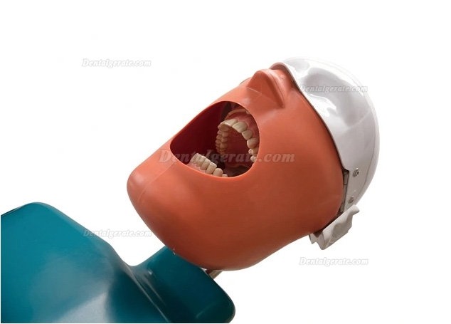 Jingle JG-A1 Phantomkopf Zahnmedizin-Patientensimulator Dentale Simulationseinheiten